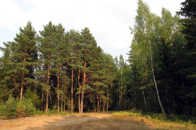 Лесби порно хардкор